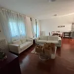 Doge Veneziano